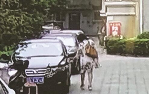 北京小区监控